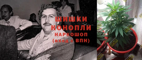a pvp Осинники