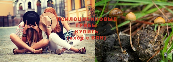 прущий лед Няндома