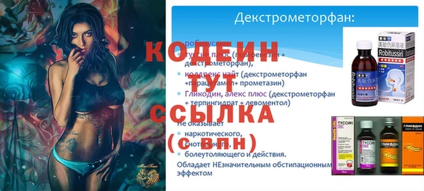 гашик Нягань