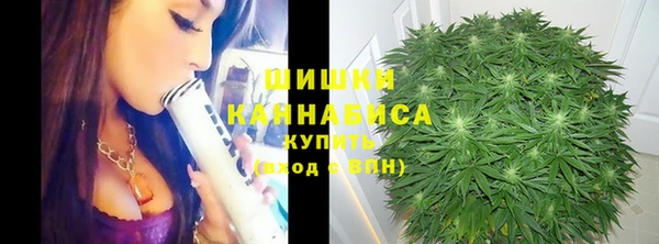 гашик Нягань